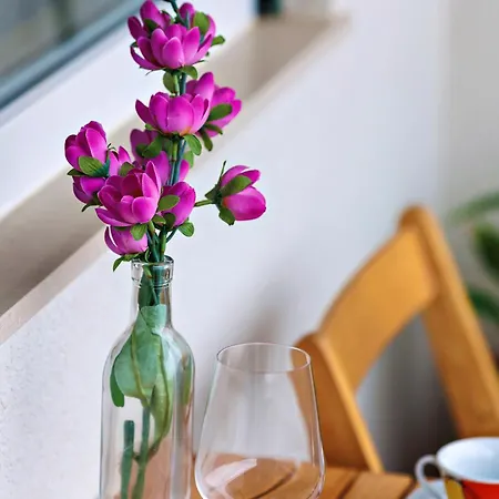 Apartment Baricevic